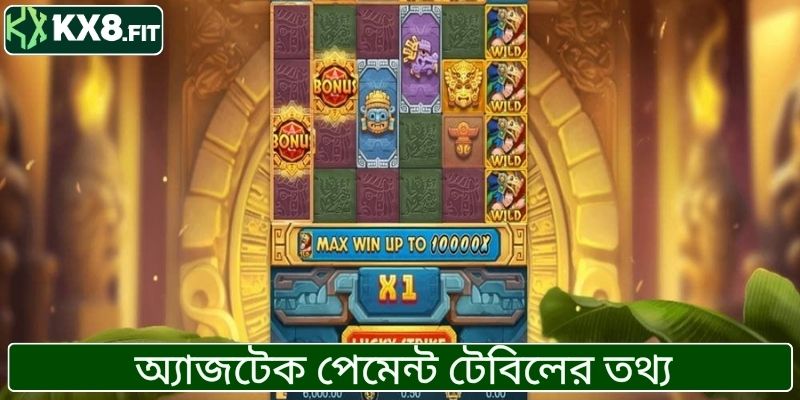 অ্যাজটেক পেমেন্ট টেবিলের তথ্য