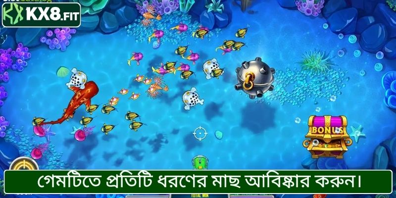 গেমটিতে প্রতিটি ধরণের মাছ আবিষ্কার করুন।