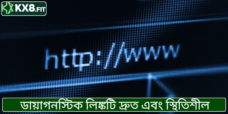 ডায়াগনস্টিক লিঙ্কটি দ্রুত এবং স্থিতিশীল অ্যাক্সেস প্রদান করে।