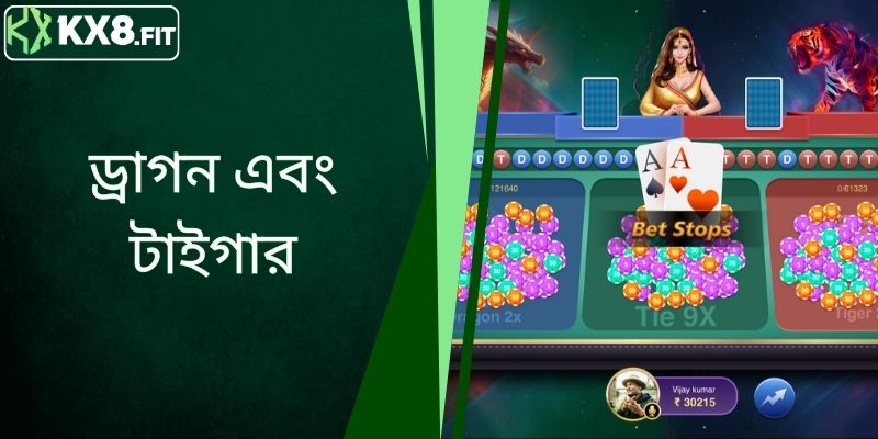 ড্রাগন টাইগার - দ্রুত জেতার বিস্তারিত নিয়ম এবং টিপস